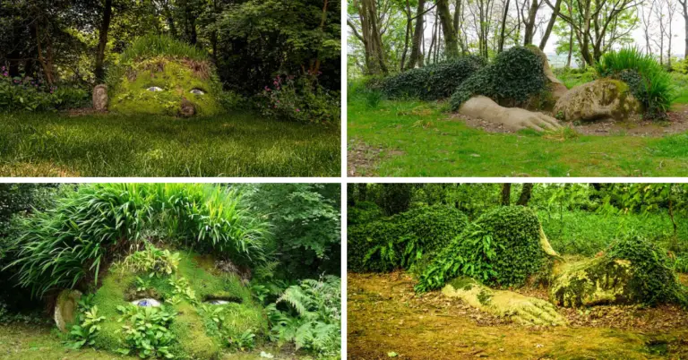 Nature’s Artistry: A Garden of Living Sculptures in Harmony with the Seasons