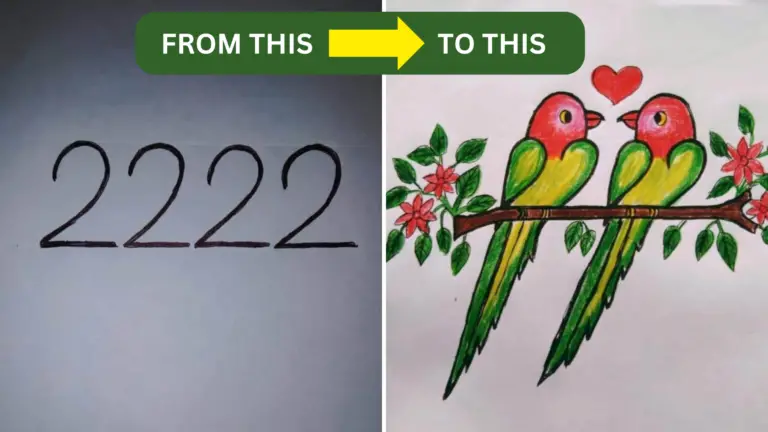 Beginner’s Tutorial: Drawing Endearing Parrot Couples