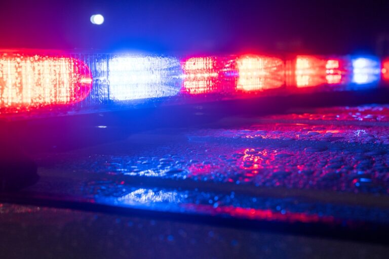 Syracuse Police Respond to Dog Attack, Officer Fires Weapon at Aggressive Animal