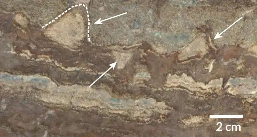 Field Photo Of Stratified Dolostone With Features Marked By Arrows.