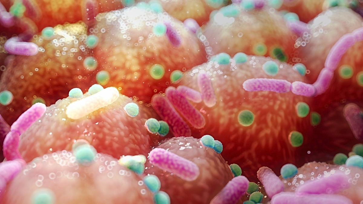 Parkinson's Link to Gut Bacteria Hints at Unexpectedly Simple Treatment