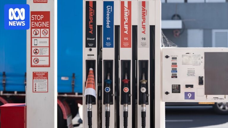 Fuel Excise Cut: Economists Warn of Inflationary ‘Sting in the Tail’ Despite Immediate Relief