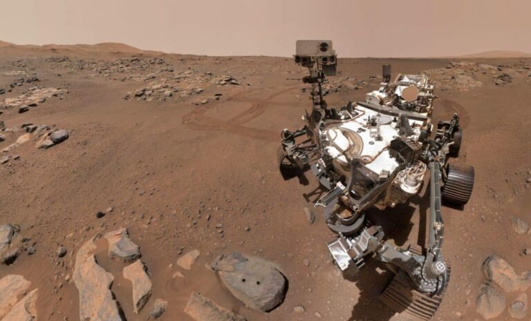 Startling Claims: NASA Rover Images May Reveal Insect and Reptile-Like Life on Mars