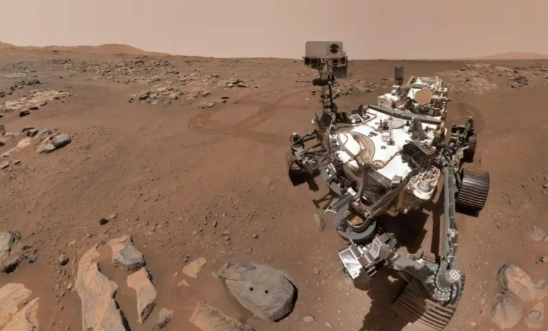 Analysis of NASA Rover Images Ignites Debate Over Complex Life Forms on Mars